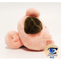 autehntic Pokemon Center Plush Pokemon fit Cleffa 11cm 